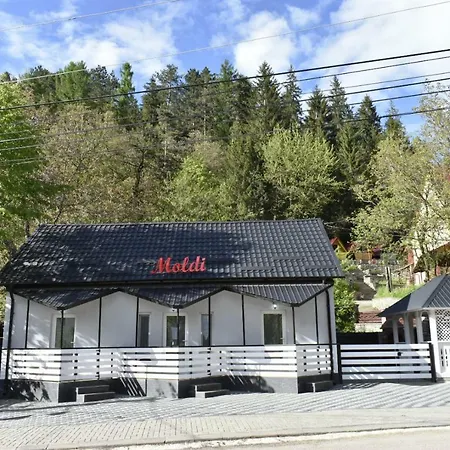 Moldi Btt Câmpulung Moldovenesc